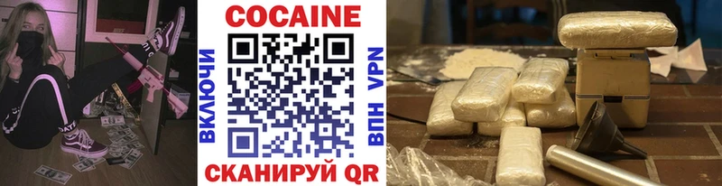 мега ССЫЛКА  дарнет шоп  Светлогорск  COCAIN VHQ 