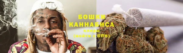 соль ск Богданович