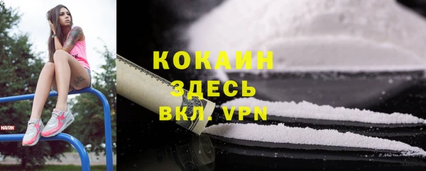 соль ск Богданович