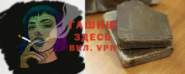 соль ск Богданович