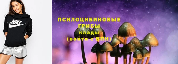 крисы Богородск