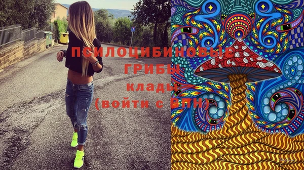 крисы Богородск