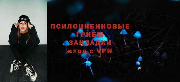 экстази Богородицк