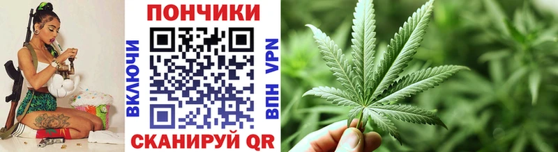 darknet Telegram  Светлогорск  МАРИХУАНА план 