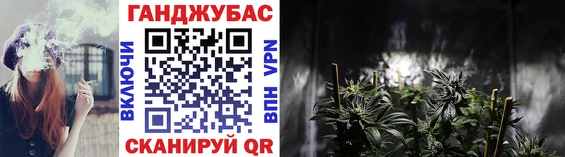Канабис план Светлогорск
